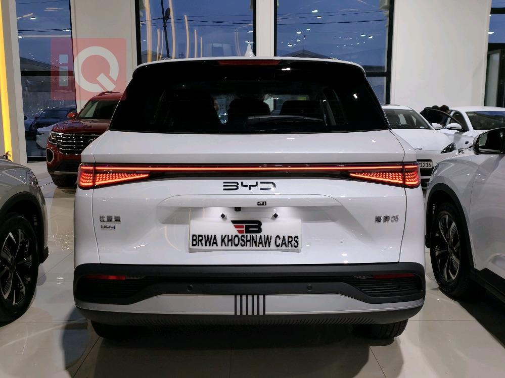 بي واي دي سيليون 05 DM-i